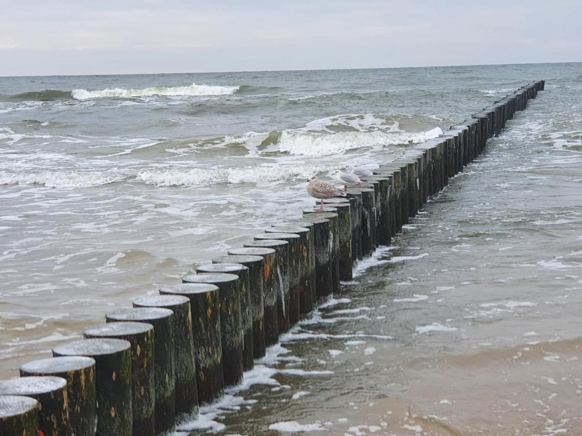 Baltic Cliff Apartamenty Niechorze Dış mekan fotoğraf